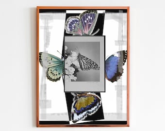 Libra 0º Sep 22 Sabian Symbols wall art, Astrology, Graphic Poster, Fine Art Print