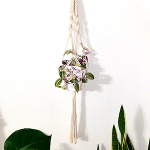 Amelia, Macrame Plant Hanger, Boho Decor, Minimalist Decor, Mother&#39;s Day Gift, Birthday Gift, Home Decor, Plant Accesories, Hanging Planter