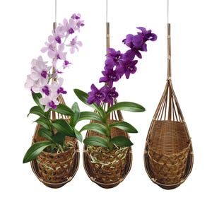 PANWA Handmade 100% Thai Bamboo Woven 4 Inch Hanging Orchid Basket Bird Nest Style Plant Hangers for Gazebo Indoor/Outdoor Flower Planter