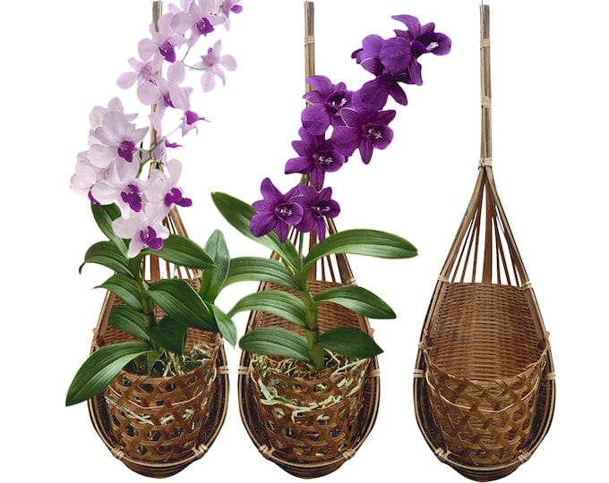 PANWA Handmade 100% Thai Bamboo Woven 4 Inch Hanging Orchid Basket Bird Nest Style Plant Hangers for Gazebo Indoor/Outdoor Flower Planter