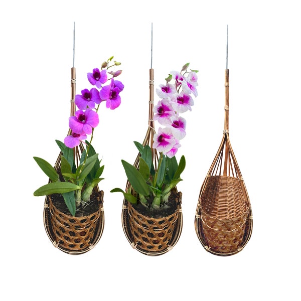 PANWA Handmade 100% Thai Bamboo Woven 4 Inch Hanging Orchid Basket Bird Nest Style Plant Hangers for Gazebo Indoor/Outdoor Flower Planter