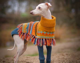 HONEY MUSTARD color Dog poncho. Handmade in the Andes of Peru with baby Alpaca wool. Definite must-have. Luxury dog sweater, Size X0-20