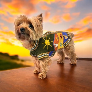 May include: A small brown and tan Yorkshire Terrier wearing a green, yellow, orange, and blue sweater with a sun and other designs. The dog is standing on a wooden surface.