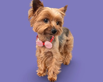 CUTIE PIE dog bows with neck strap. dog accessory,