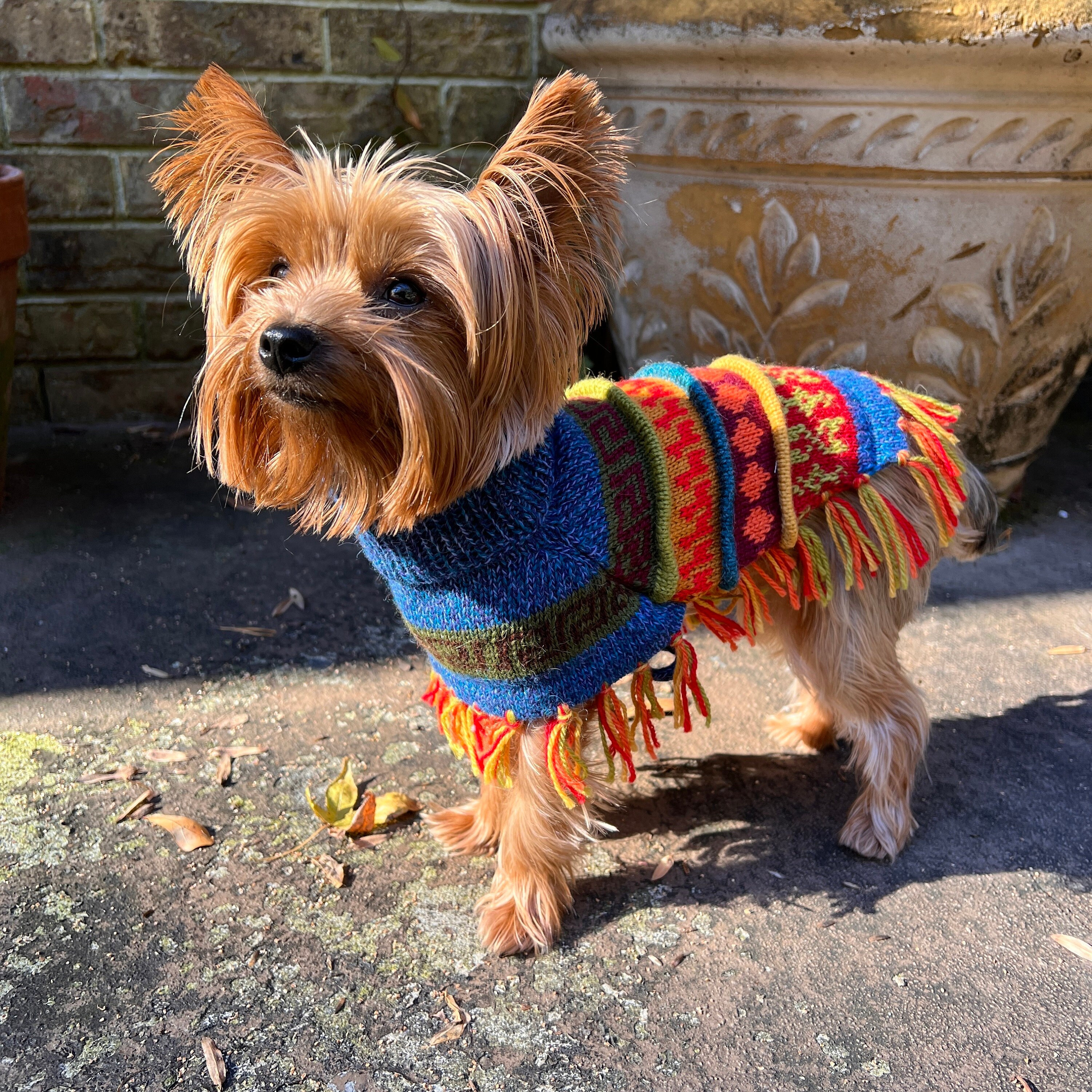 Blue Purple Tweed dog PONCHO. (All Sizes) Handmade in the Andes of Peru with the finest baby Alpaca.