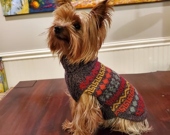 fall dog sweater