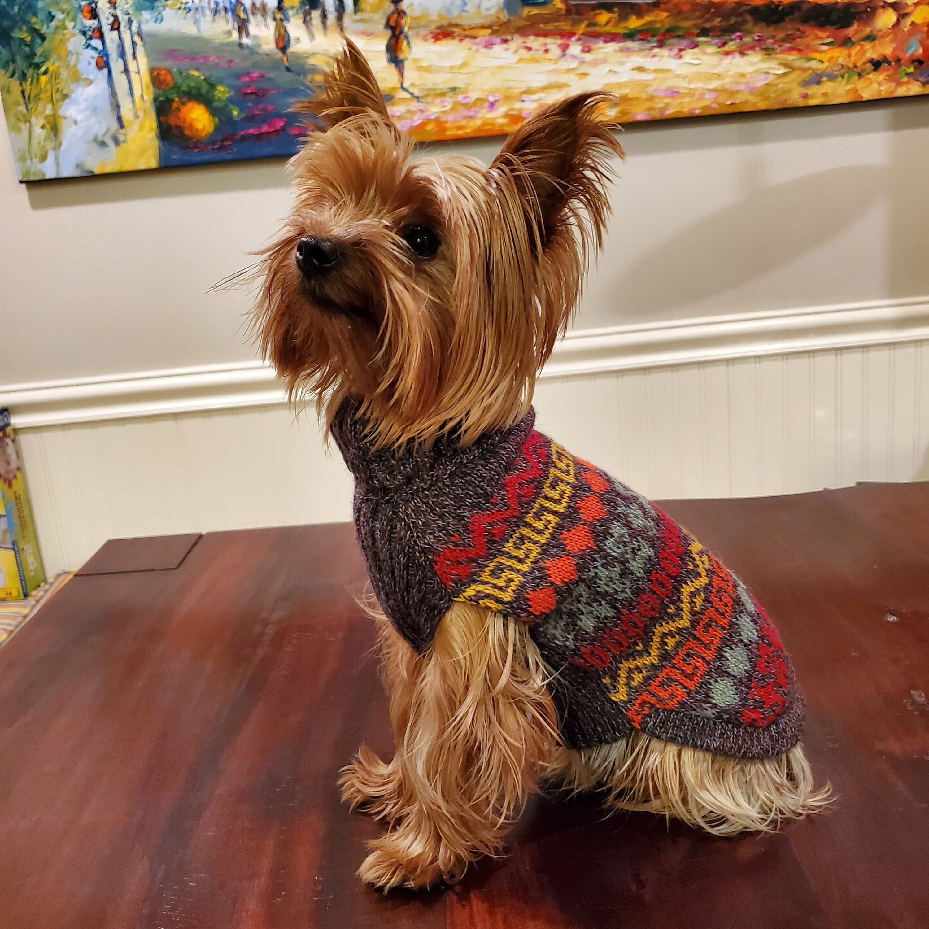 alpaca dog sweaters