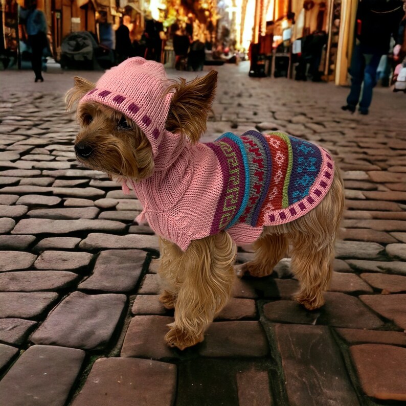 May include: A small dog wearing a pink knitted hat and sweater. The hat has a dark pink band with squares. The sweater has a colorful patterned design in blue, green, red, and purple. The dog is standing on a cobblestone street.