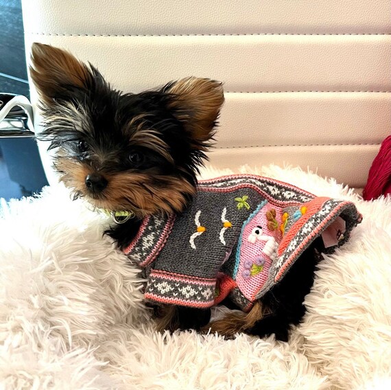 Can Dog Sleep In Sweater