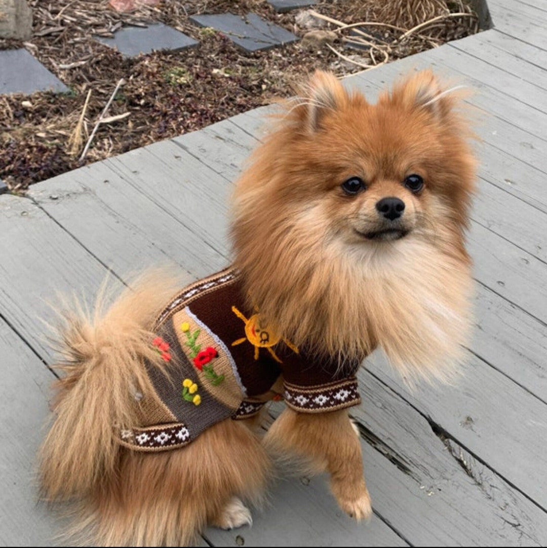 CAFE BROWN Zip up Dog Sweater. All Sizes X08 Etsy