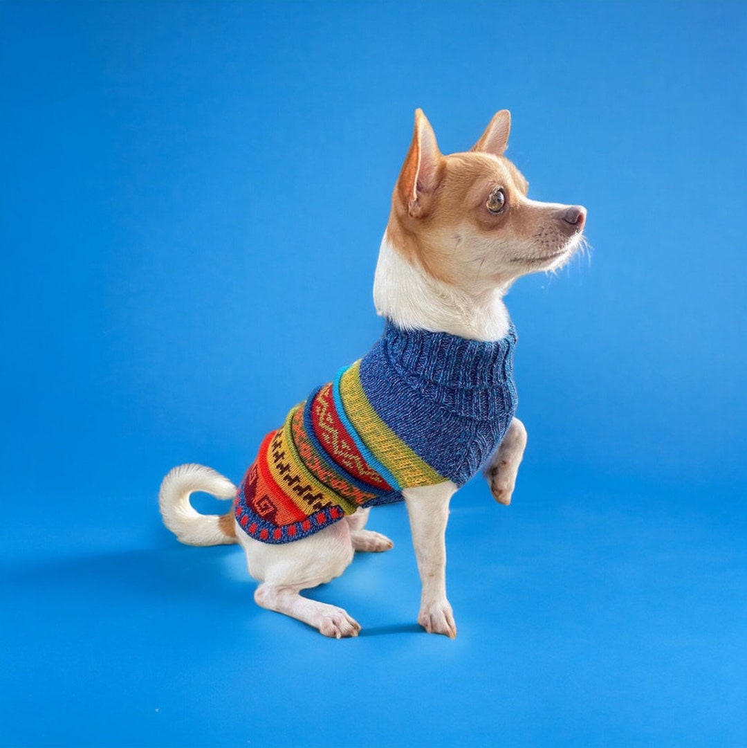 American Bully Vetement Pour American Staff NAZCA Dog Sweater