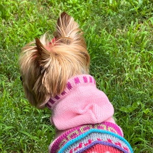 May include: A small dog wearing a pink and multicolored knitted sweater. The sweater has a pink body with a purple and white striped collar and a patterned bottom edge with blue, green, and red accents. The dog is in a grassy area.