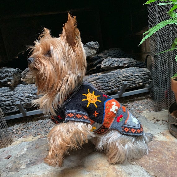 Harley dog sweater hotsell