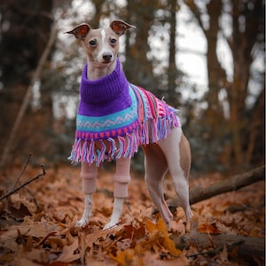 Handmade Royal Purple Alpaca Dog Poncho: Andean Comfort Sweater. (Size XX0-8)
