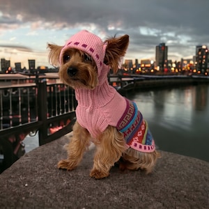 May include: A small dog wearing a pink knitted sweater and matching hat. The sweater has a colorful patterned design on the back. The dog is sitting on a stone surface with a city skyline in the background.