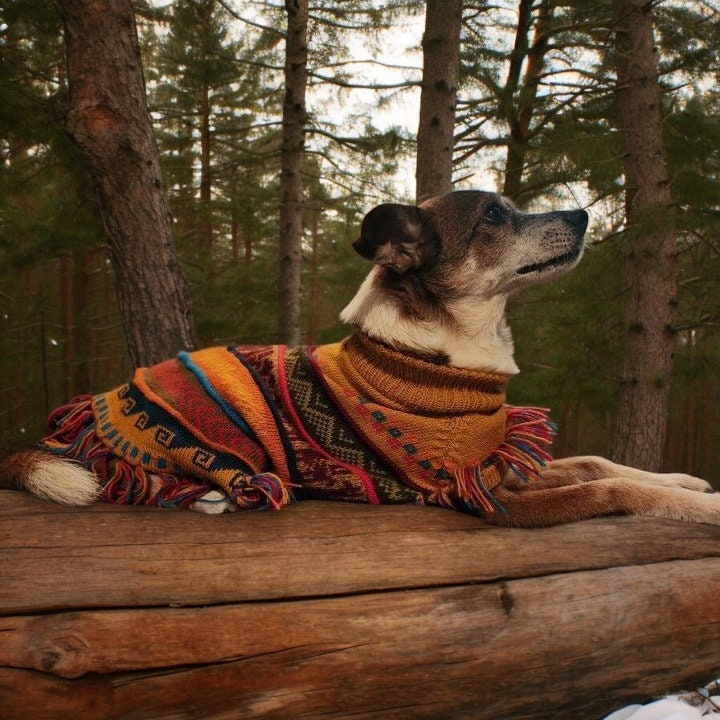 dog sweater women's Varg dog sweater by Sari Nordlund  Wool and Company