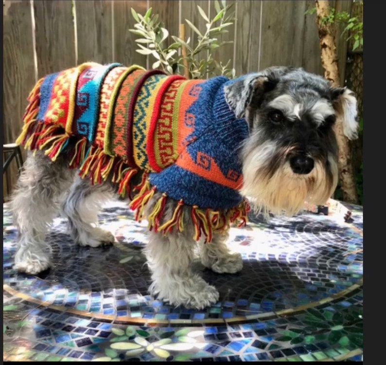 ALL OTHER COLORS, Dog poncho. Handmade in the Andes of Peru with baby Alpaca wool. Definite must-have. Luxury dog sweater, Size X0-8 image 3