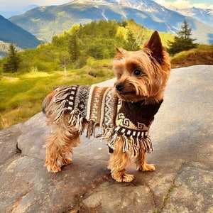 CAFE BROWN Dog poncho. Handmade in the Andes of Peru with baby Alpaca wool. Definite must-have. Luxury dog sweater, Size XX0-20
