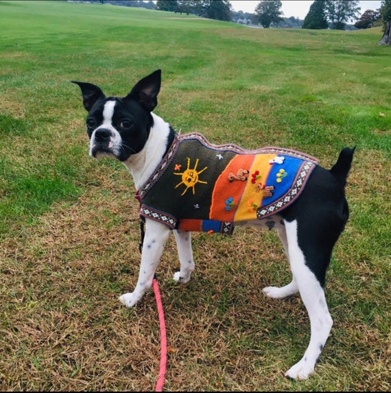 boxer dog sweater size