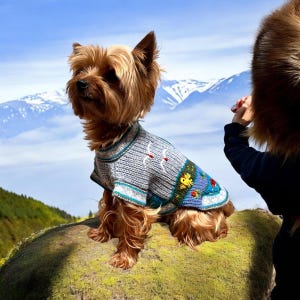 Hand-Embroidered Alpaca Dog Sweater: Glacier Blue Zip-Up Design. (Size XX0-8)