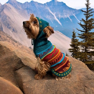 JADE color, Alpaca Luxury Dog HOODIE sweater. Nazca lines inspired designs. Made w/ the finest Peruvian Alpaca. With leash hole. Size XX0-8
