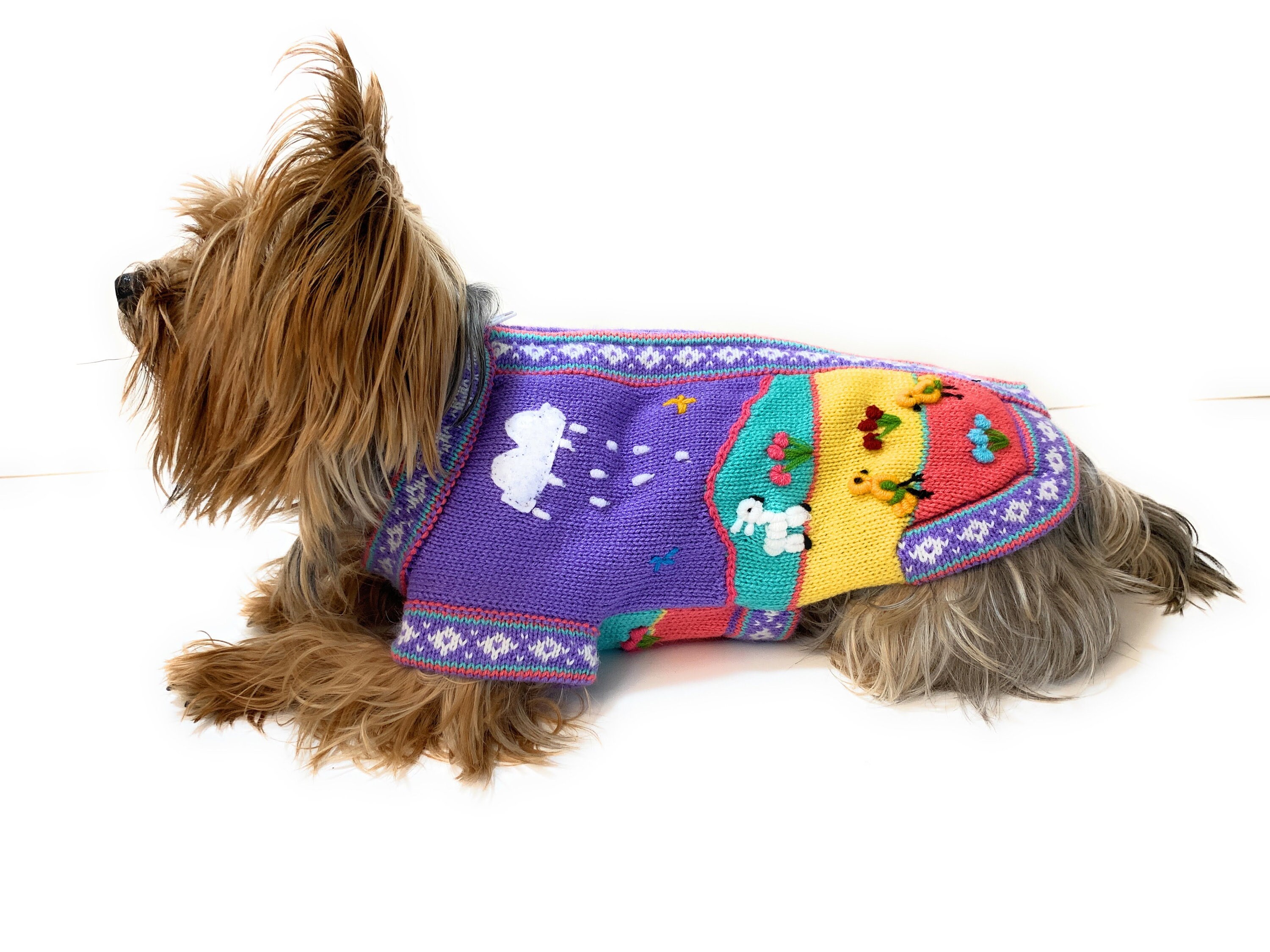 Coco Luxury Fancy Dog Dress With Bag