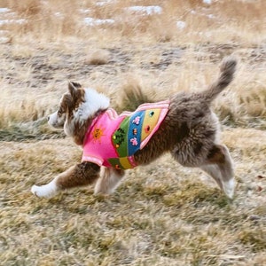 Size 8. Peruvian Dog Sweater with handmade designs.  Beagles, Dachsund, Shiba Inu, shih tzu, schnauzer, Terriers, Havanese, Cutest ever.