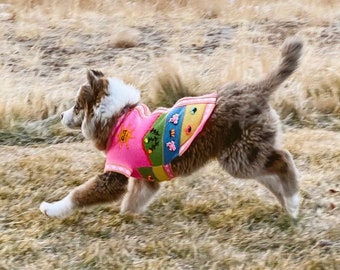 Size 8. Peruvian Dog Sweater with handmade designs.  Beagles, Dachsund, Shiba Inu, shih tzu, schnauzer, Terriers, Havanese, Cutest ever.