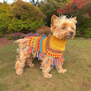 May include: A small, tan dog wearing a vibrant, knitted poncho with fringe. The poncho has a yellow collar and a patterned design with orange, blue, and red accents. The dog is standing on green grass in front of a garden.