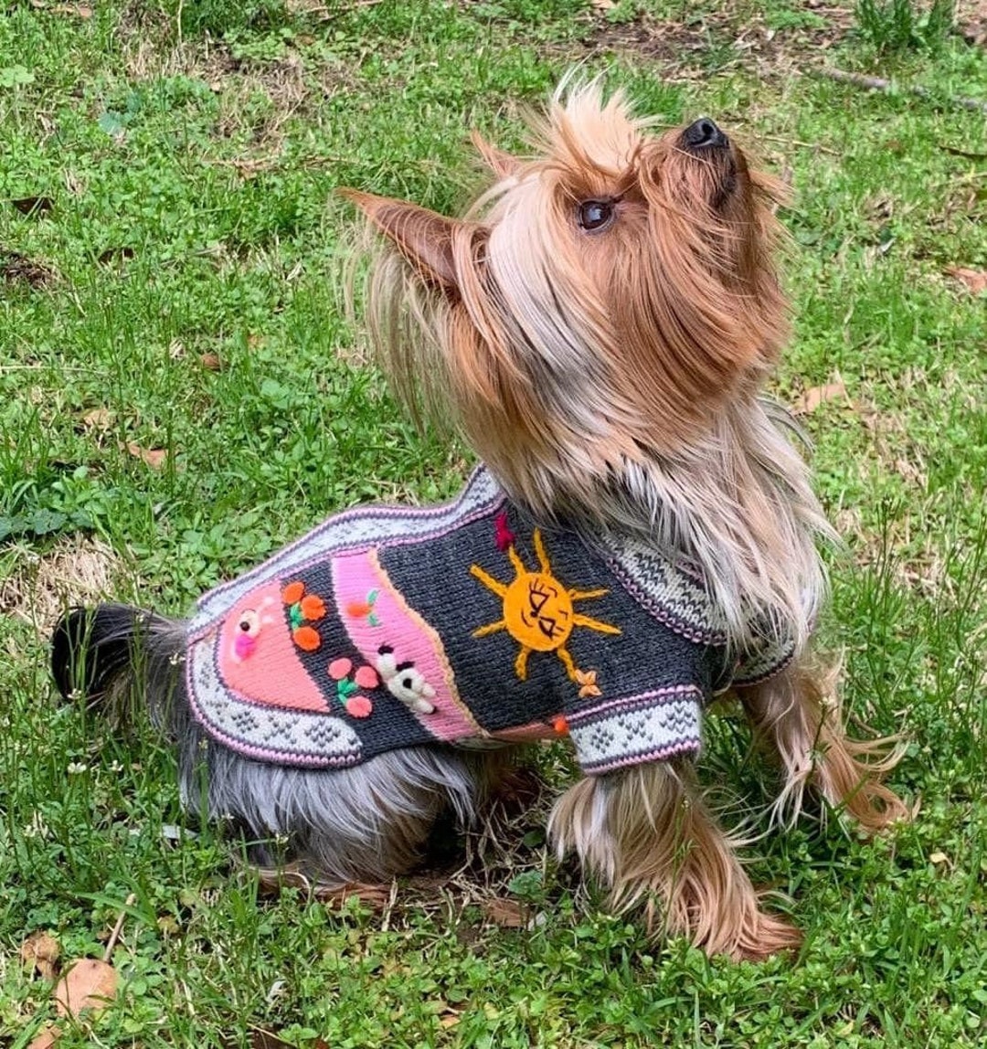 Etsy shop dog sweater