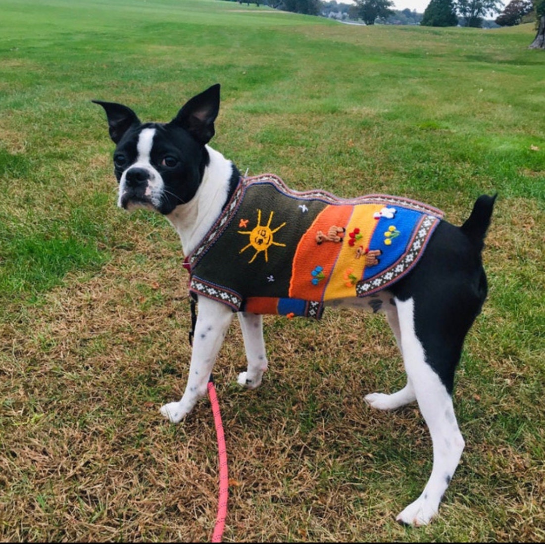 CMEY Dog Clothes Jamaican Flag Dog Shirts Pet Vest 