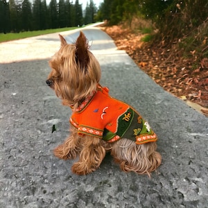 May include: A small, brown and tan Yorkshire Terrier dog wearing a bright orange sweater with green and white accents. The sweater has a floral pattern and a small bird design.