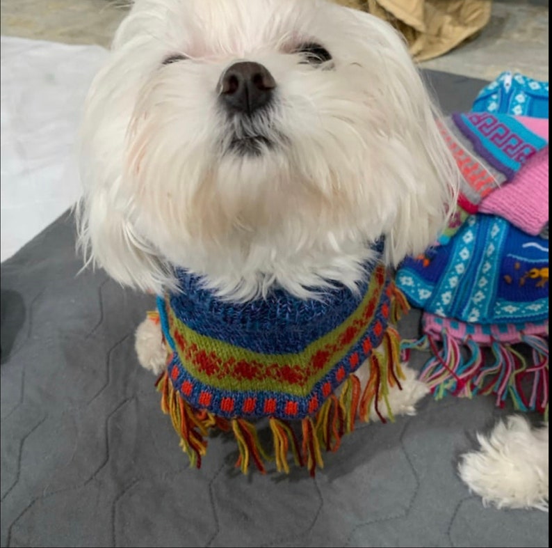 ALL OTHER COLORS, Dog poncho. Handmade in the Andes of Peru with baby Alpaca wool. Definite must-have. Luxury dog sweater, Size X0-8 image 4