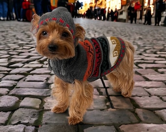 May include: A small dog with tan fur wearing a grey knitted jumper and a matching grey hood with red stitching. The jumper features horizontal bands of orange, red, black, and white geometric patterns across the back and sides.