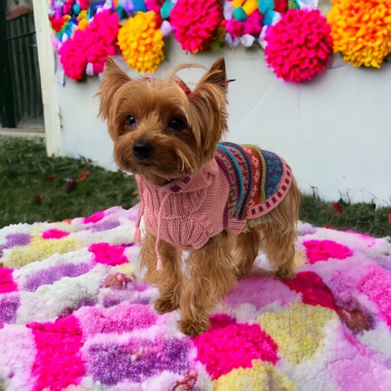 May include: A small Yorkshire Terrier dog wearing a pink knitted sweater and a colorful patterned sweater. The dog is standing on a pink, purple, and white patterned blanket. Colorful pom-poms are in the background.
