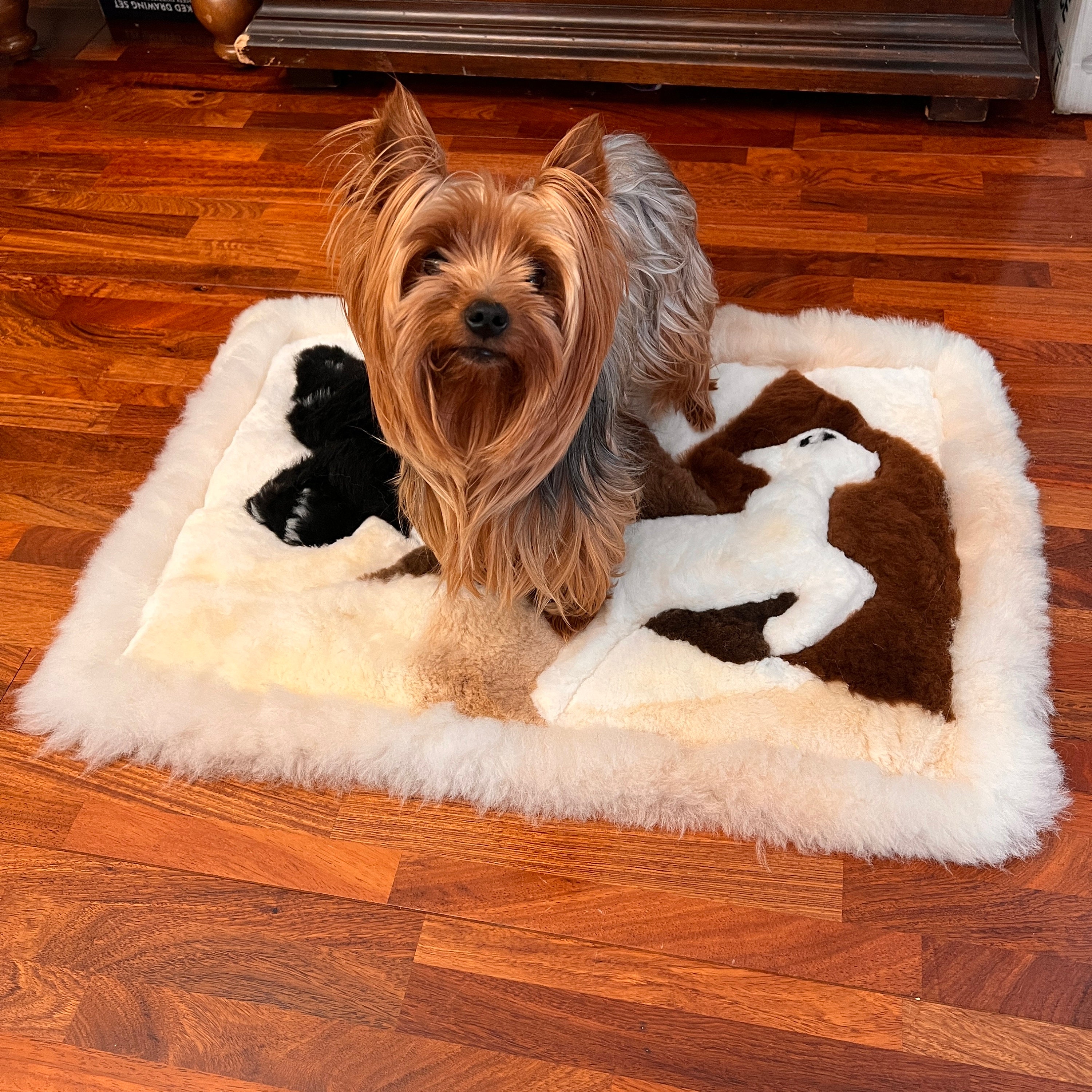 Sheepskin Dog Bed 