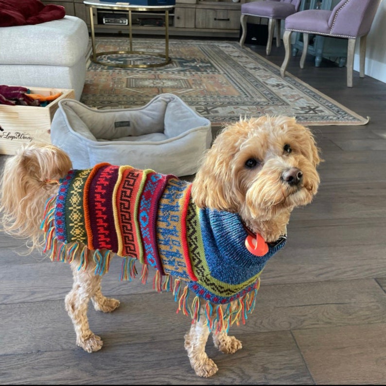 ALL OTHER COLORS, Dog poncho. Handmade in the Andes of Peru with baby Alpaca wool. Definite must-have. Luxury dog sweater, Size X0-8 image 5