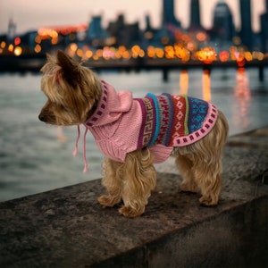 May include: A small dog wearing a pink knitted hoodie and a colorful patterned sweater. The sweater features geometric designs in shades of blue, green, and red. The dog is standing on a stone ledge with a blurred city skyline in the background.