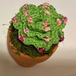May include: A handmade crochet succulent in a small terracotta pot. The succulent features vibrant green yarn leaves with pink and purple accents, nestled in green moss. A charming, handcrafted home decor item.