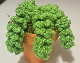 May include: A handmade, green crochet plant in a terracotta pot. The plant features cascading, textured green yarn, resembling a trailing succulent. The pot is filled with moss, adding a natural touch to this unique home decor item.