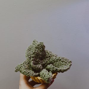 May include: A handmade crochet succulent in a small yellow and brown basket. The succulent is a muted green color and has a textured appearance. The basket is round and has a woven design. The item is held in a hand.