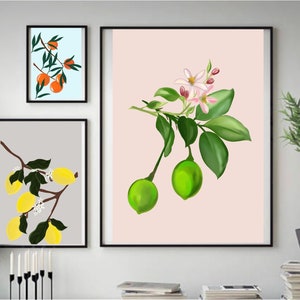 Digital copy of my handmade illustrations- kitchen- fruit- 3 piece print- set of 3- download-print-digital download-