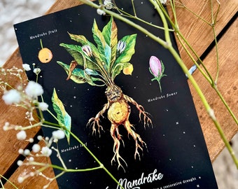 Decorazione da parete Aradia, stregoneria italiana, pirografia su legno