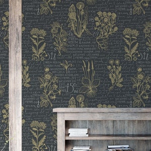 Dark grey and olive green medicine, herbal and alchemy theme wallpaper, with plants and text in latin.
