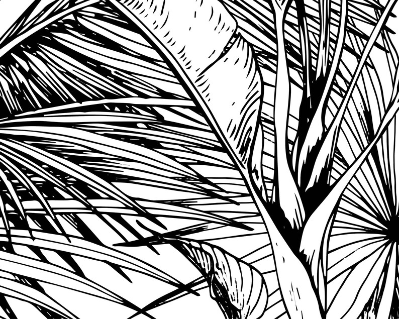 Black and White Tropical Mural DIY Peel and Stick Jungle Etsy