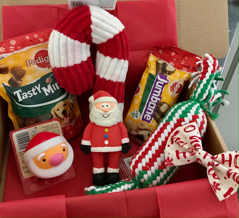 Christmas Dog Gift Box standard box Etsy