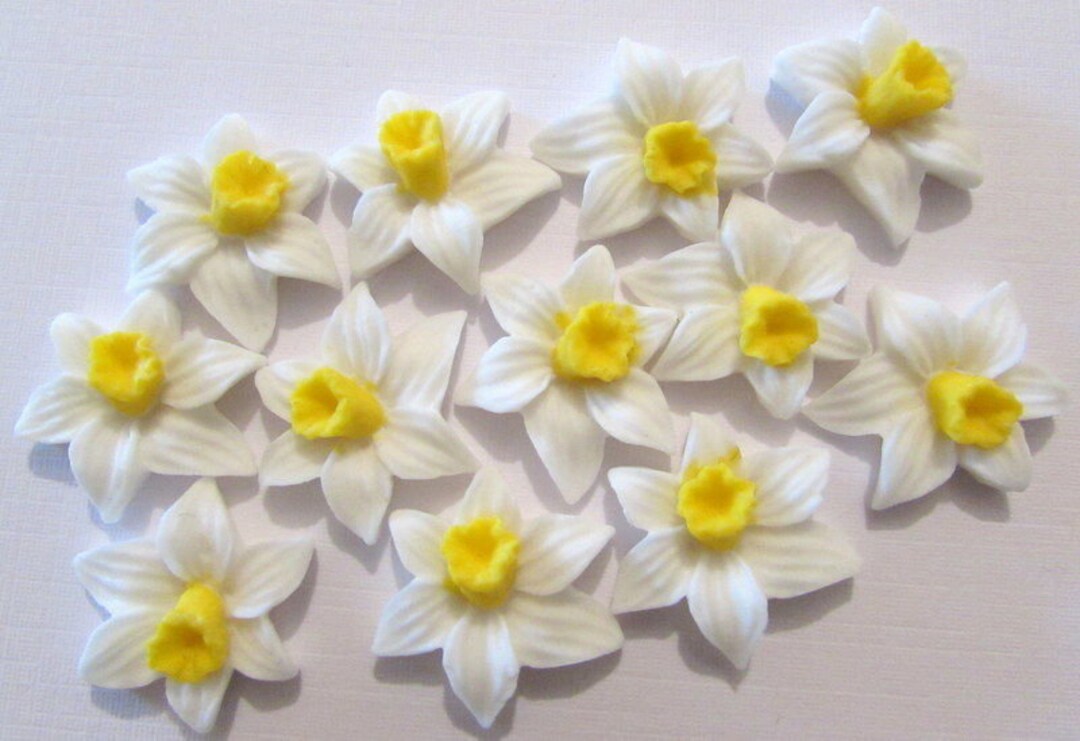 12 White Daffodils Flowers Edible Cake Toppers Sugarcraft Wedding