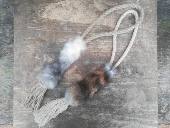 amazon cat harness and lead