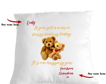 teddy bear cuddle cushion