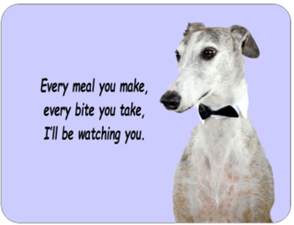 Do Greyhound Dogs Bite